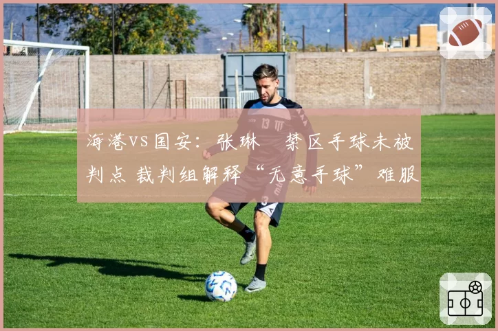 海港vs国安：张琳芃禁区手球未被判点 裁判组解释“无意手球”难服众