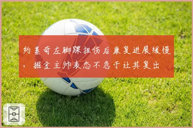 约基奇左脚踝扭伤后康复进展缓慢，掘金主帅表态不急于让其复出