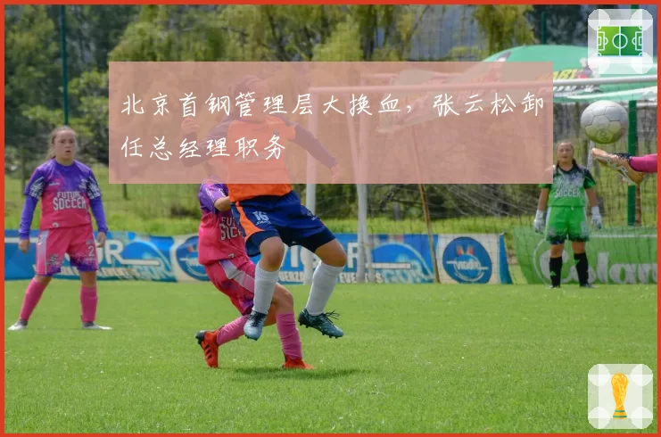 北京首钢管理层大换血，张云松卸任总经理职务